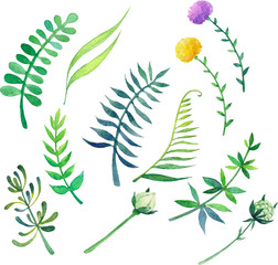 Watercolor spring green elements