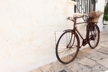 Fototapeta na wymiar Old rusty bike as a flowerpot