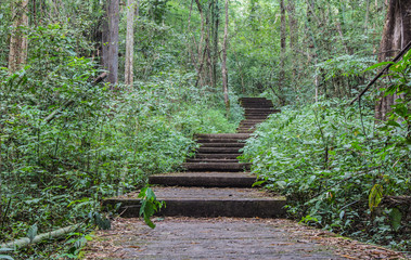 Walking up the stairs to the waterfall