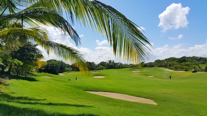 Golf course in a tropical resort - obrazy, fototapety, plakaty
