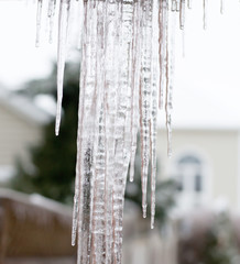 Sheet of icicles