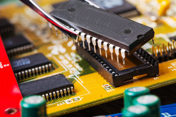 specialist take microchip by forceps