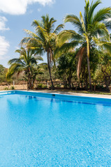Fototapeta na wymiar pool outdoors with tropical palm