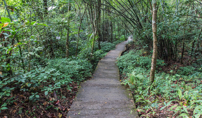 Walking up the stairs to the waterfall in Thailand