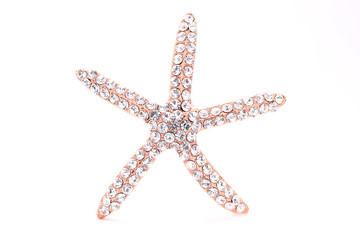 brooch in the shape of a starfish on a white background