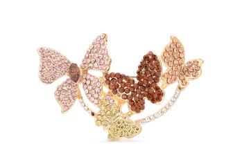 Brooch with butterflies on a white background