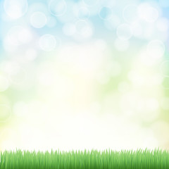 Fototapeta na wymiar spring background with green grass and bokeh effects lights. vec