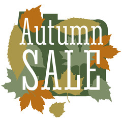 Sale and discount card, banner, flier. Autumn sale title. Maple leaves of different colors: green, orange, yellow, olive composition isolated on white background. Editable vector illustration template