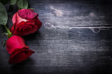 Expanded natural roses on wooden background copyspace holidays c