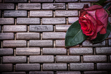 Red expanded rose on wicker wooden place mat close up view
