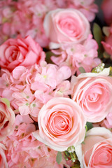 Bright pink roses background,Vintage color.