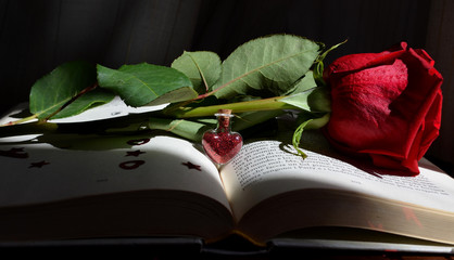 Libro d'amore