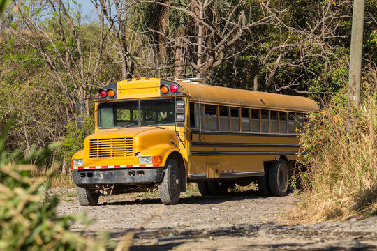 ein alter rostiger Schulbus steht im Wald