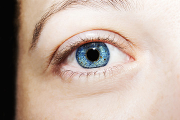 Obraz premium insightful look blue eyes
