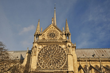 Fototapeta na wymiar Parigi, la cattedrale di Notre Dame 
