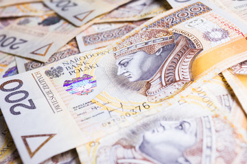 Fototapeta premium Polish Money