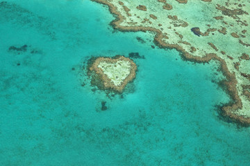 Fototapeta na wymiar Heart Reef, Australia