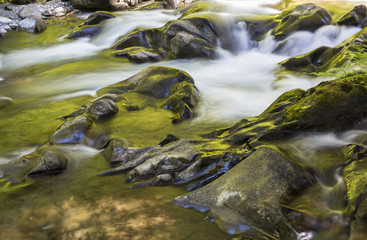 Golden Sol Duc River
