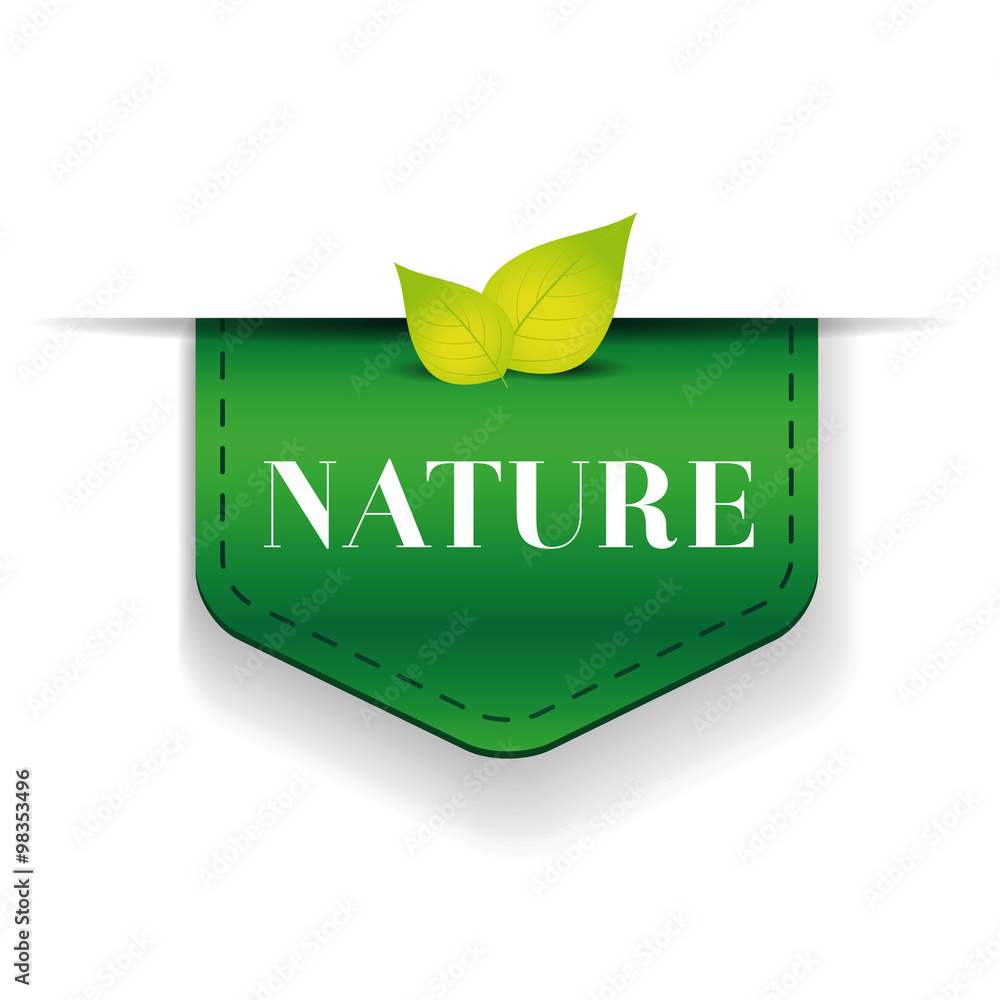 Poster nature green ribbon vector