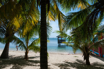 Small Wooden Hut on stilts in the sea at white sand beach hiding behind palm trees