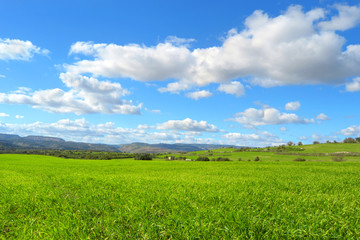 Naklejka premium Paesaggio con una collina verde e delle belle nuvole nel cielo azzurro