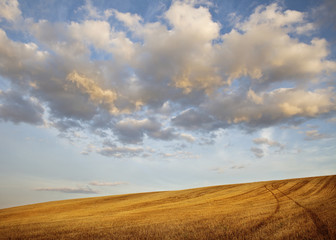 Fototapeta premium Dramatic Clouds Over Golden Harvested Field