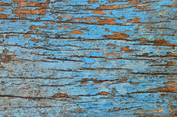 Fototapeta na wymiar Blue paint of tree bark wood texture background.