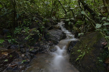 River through the Forest in Costa Rica
