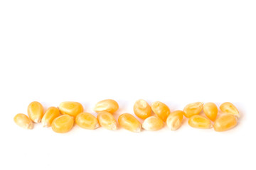 Close up yellow grain corn isolated on white