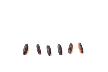 Close up Thai black sticky rice isolated on white