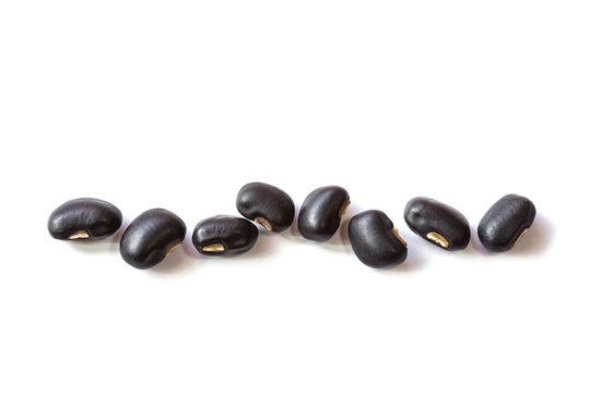 Close up black bean isolated on white