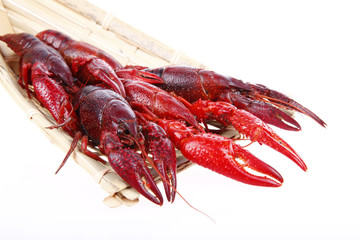 Crawfish
