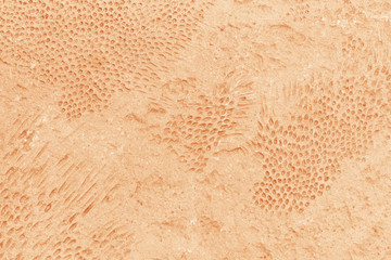texture of concrete floor walkway