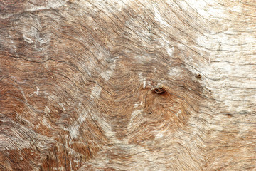 Old wood texture background
