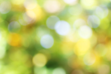 Bokeh, Blur leaf bokeh background