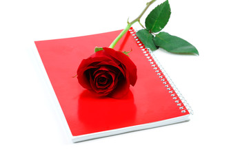 single red rose with red notebook on white background