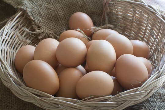 Still Life- Multiple eggs in the basket bubble.