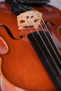Close Up Violin