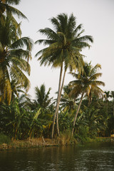 Fototapeta na wymiar Kerala, India