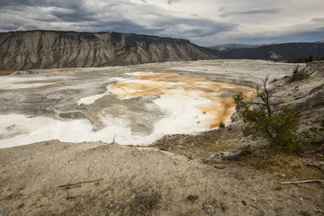 Fototapeta premium Travertine terraces at Mammoth Hot Springs in Wyoming, are dry from drought.