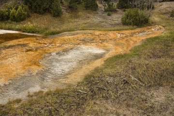 Fototapeta premium Orange geothermal stream runs over carbonate rocks, Yellowstone National Park, Wyoming.