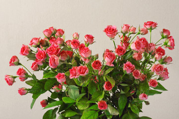 Bouquet pink roses as a heart closeup
