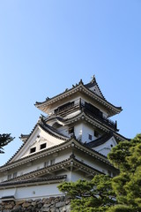 Fototapeta premium 高知城天守閣