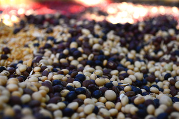 Plant seeds from central of Thailand