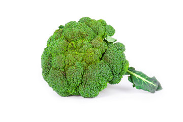 Broccoli isolated on white