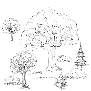 Tree and bushes in sketch. Doodle drawing tree collection in vec