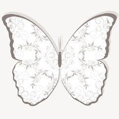 Vector template for folder, business card and invitation 