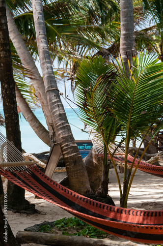 Closeup Of Hammock Chillout Relax Tied To Coconut Trees At