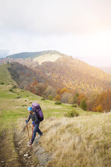 Obraz premium Tourist with a backpack is on a forest trail.