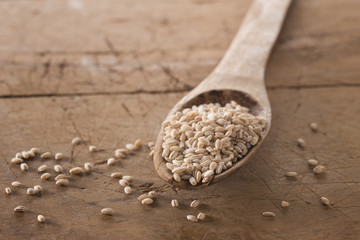 orzo perlato biologico su cucchiaio legno e fondo legno